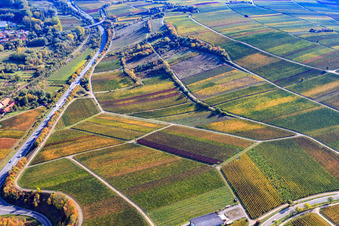 Vue aérienne de Tracé de la route fédérale 10 B10 vers Landau à Siebeldingen dans le département Rhénanie-Palatinat, Allemagne