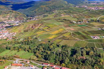 Vue aérienne de Vignobles entre Albersweiler et Siebeldingen à Siebeldingen dans le département Rhénanie-Palatinat, Allemagne