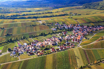 Vue aérienne de Village viticole entre les vignes du nord à Ranschbach dans le département Rhénanie-Palatinat, Allemagne