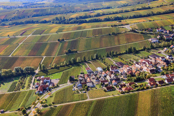 Vue aérienne de Village viticole entre les vignes du nord à Ranschbach dans le département Rhénanie-Palatinat, Allemagne