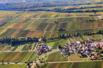 Vue aérienne de Vignes aux feuilles d'automne à le quartier Arzheim in Landau in der Pfalz dans le département Rhénanie-Palatinat, Allemagne