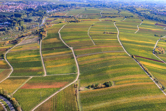 Vue aérienne de Vignobles du Ranschbachtal à Siebeldingen dans le département Rhénanie-Palatinat, Allemagne