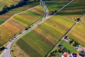 Vue aérienne de Vignobles de Fuchsgraben à le quartier Arzheim in Landau in der Pfalz dans le département Rhénanie-Palatinat, Allemagne