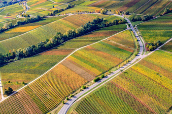 Vue aérienne de Vignobles de Fuchsgraben à le quartier Arzheim in Landau in der Pfalz dans le département Rhénanie-Palatinat, Allemagne