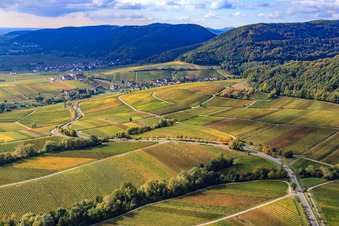 Vue aérienne de Vignoble Haardtrand Kirchholz à Ilbesheim bei Landau dans le département Rhénanie-Palatinat, Allemagne
