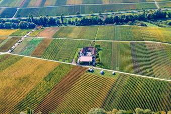 Vue aérienne de Domaine viticole Erlenwein à Ilbesheim bei Landau dans le département Rhénanie-Palatinat, Allemagne