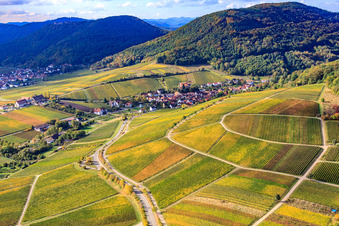 Vue aérienne de Village viticole entre les vignes du nord à Leinsweiler dans le département Rhénanie-Palatinat, Allemagne
