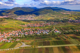 Vue aérienne de Village viticole entre les vignes du sud à Ranschbach dans le département Rhénanie-Palatinat, Allemagne