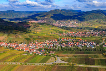 Vue aérienne de Village viticole entre les vignes du sud à Ranschbach dans le département Rhénanie-Palatinat, Allemagne