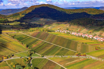 Vue aérienne de Vignobles du Ranschbachtal à Birkweiler dans le département Rhénanie-Palatinat, Allemagne