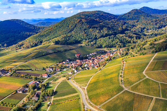 Vue aérienne de Vignoble Haardtrand Kirchholz à Leinsweiler dans le département Rhénanie-Palatinat, Allemagne
