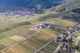 Vue oblique de Cour à Leinsweiler dans le département Rhénanie-Palatinat, Allemagne