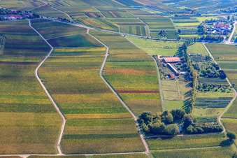 Vue aérienne de Hirtenbrunner Hof sur l'Aalmühl à Ilbesheim bei Landau dans le département Rhénanie-Palatinat, Allemagne