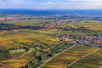 Photographie aérienne de Village viticole sur le petit Kalmit vu de l'ouest à Ilbesheim bei Landau dans le département Rhénanie-Palatinat, Allemagne