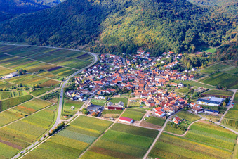 Vue aérienne de Village viticole au bord du Haardt au nord-est à Eschbach dans le département Rhénanie-Palatinat, Allemagne