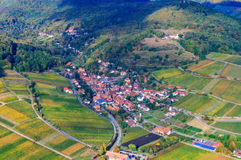 Vue aérienne de Village viticole au bord du Haardt vu du sud-est à Leinsweiler dans le département Rhénanie-Palatinat, Allemagne