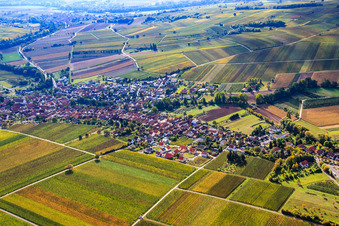 Vue aérienne de Village viticole entre les vignes du nord à Göcklingen dans le département Rhénanie-Palatinat, Allemagne