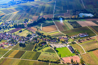 Vue aérienne de Village viticole entre les vignes du nord à Göcklingen dans le département Rhénanie-Palatinat, Allemagne