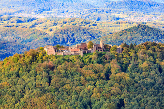 Vue aérienne de Madenburg vu de l'est à Eschbach dans le département Rhénanie-Palatinat, Allemagne
