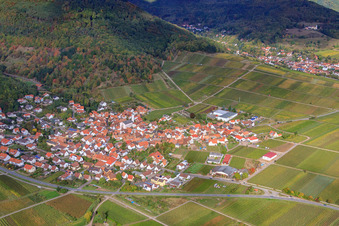 Vue aérienne de Village viticole au bord du Haardt vu du sud-est à Eschbach dans le département Rhénanie-Palatinat, Allemagne
