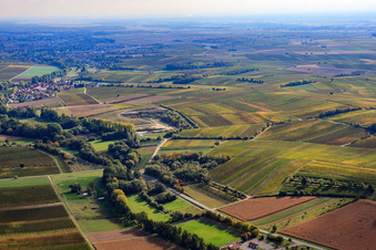 Vue aérienne de Terrain de sport du SV Klingenmünster eV à Klingbachtal à Klingenmünster dans le département Rhénanie-Palatinat, Allemagne