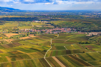 Vue aérienne de Village viticole entre les vignes du sud à Göcklingen dans le département Rhénanie-Palatinat, Allemagne