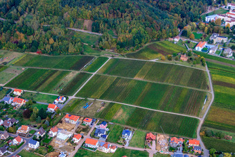 Vue aérienne de Vieille rue à Klingenmünster dans le département Rhénanie-Palatinat, Allemagne
