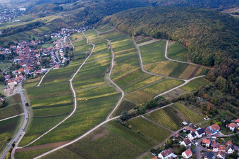 Vue aérienne de Vignoble Gottesacker am Haardtrand à le quartier Pleisweiler in Pleisweiler-Oberhofen dans le département Rhénanie-Palatinat, Allemagne