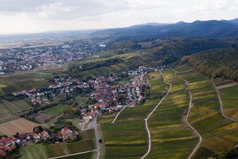 Vue aérienne de Vignoble Gottesacker am Haardtrand à le quartier Pleisweiler in Pleisweiler-Oberhofen dans le département Rhénanie-Palatinat, Allemagne