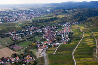 Vue aérienne de Au sommet de la colline du château à le quartier Pleisweiler in Pleisweiler-Oberhofen dans le département Rhénanie-Palatinat, Allemagne