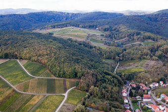 Vue aérienne de Haardtrand avec les vignobles Gottesacker et Wolfsteig à le quartier Pleisweiler in Pleisweiler-Oberhofen dans le département Rhénanie-Palatinat, Allemagne