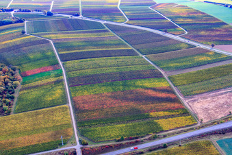 Vue aérienne de B48 à le quartier Pleisweiler in Pleisweiler-Oberhofen dans le département Rhénanie-Palatinat, Allemagne
