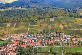 Vue aérienne de Vue du village des vignerons depuis l'est et du vignoble de Gottesacker à le quartier Pleisweiler in Pleisweiler-Oberhofen dans le département Rhénanie-Palatinat, Allemagne