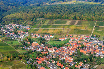 Vue aérienne de Vue d'un village de vignerons depuis l'est, avec l'église catholique des Apôtres Simon et Jude en contrebas du vignoble de Gottesacker. à le quartier Pleisweiler in Pleisweiler-Oberhofen dans le département Rhénanie-Palatinat, Allemagne