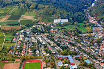 Vue aérienne de Wiesenstraße Weinstr à Bad Bergzabern dans le département Rhénanie-Palatinat, Allemagne