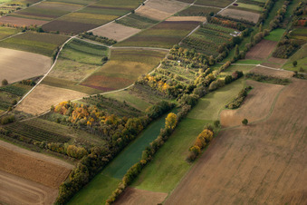 Vue aérienne de Dierbachtal à Dörrenbach dans le département Rhénanie-Palatinat, Allemagne