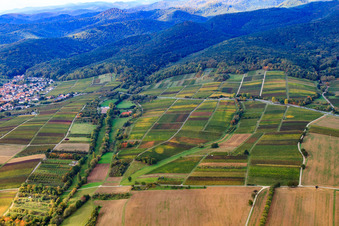 Vue aérienne de Dierbachtal à Oberotterbach dans le département Rhénanie-Palatinat, Allemagne