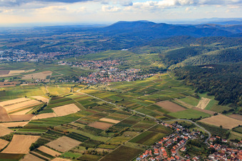 Vue aérienne de Route B38 longeant les vignobles entre 2 et Oberotterbach à le quartier Rechtenbach in Schweigen-Rechtenbach dans le département Rhénanie-Palatinat, Allemagne