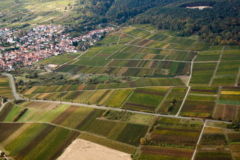 Vue aérienne de B38 aux vignobles près du Vogelsbächel à le quartier Rechtenbach in Schweigen-Rechtenbach dans le département Rhénanie-Palatinat, Allemagne