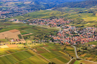 Vue aérienne de Vue d'un village viticole depuis le nord à le quartier Rechtenbach in Schweigen-Rechtenbach dans le département Rhénanie-Palatinat, Allemagne