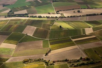Vue aérienne de Mosaïque de champs et de vignobles le long du ruisseau Rußbach à Schweighofen dans le département Rhénanie-Palatinat, Allemagne