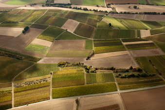 Vue aérienne de Mosaïque de champs et de vignobles le long du ruisseau Rußbach à Schweighofen dans le département Rhénanie-Palatinat, Allemagne