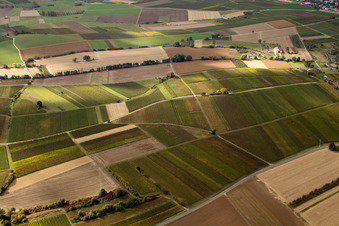 Photographie aérienne de Mosaïque de champs et de vignobles le long du ruisseau Rußbach à Schweighofen dans le département Rhénanie-Palatinat, Allemagne