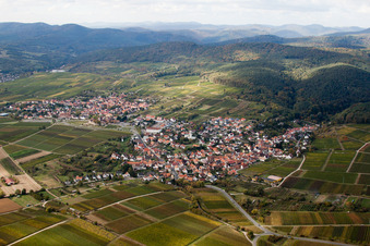 Vue aérienne de Vue du village des vignerons depuis le nord et du vignoble de Sonnenberg à le quartier Rechtenbach in Schweigen-Rechtenbach dans le département Rhénanie-Palatinat, Allemagne