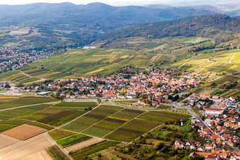 Photographie aérienne de Vignobles en Schweigen à le quartier Schweigen in Schweigen-Rechtenbach dans le département Rhénanie-Palatinat, Allemagne