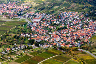 Vue oblique de Vignobles et forêt en Rechtenbach à le quartier Rechtenbach in Schweigen-Rechtenbach dans le département Rhénanie-Palatinat, Allemagne