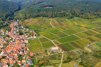 Vue aérienne de Domaine viticole Cuntz Sonnenhof à le quartier Rechtenbach in Schweigen-Rechtenbach dans le département Rhénanie-Palatinat, Allemagne