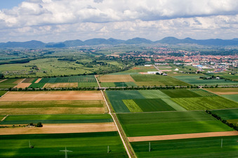 Vue aérienne de Landau Ebenberg à Landau in der Pfalz dans le département Rhénanie-Palatinat, Allemagne