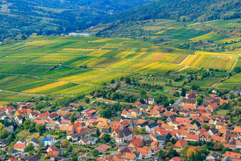 Vue aérienne de Vignoble de Sonnenberg à le quartier Schweigen in Schweigen-Rechtenbach dans le département Rhénanie-Palatinat, Allemagne