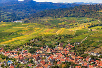 Vue aérienne de Vignoble de Sonnenberg à le quartier Schweigen in Schweigen-Rechtenbach dans le département Rhénanie-Palatinat, Allemagne